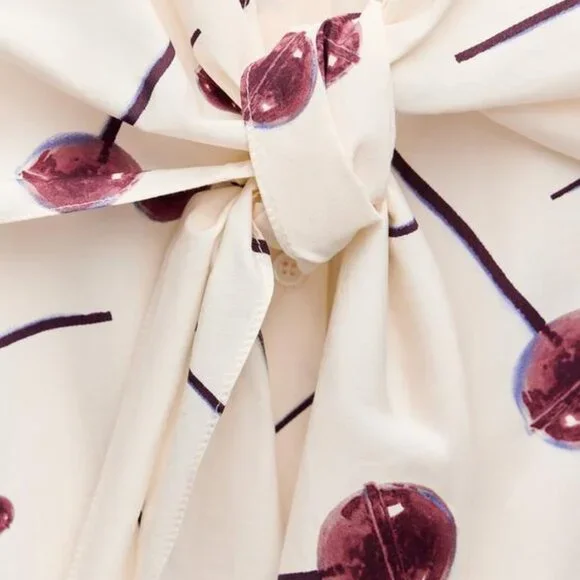 ZARA SS24 PRINTED POPLIN SHIRTDRESS ZW COLLECTION 3089/144 019/320 - Picture 10 of 11